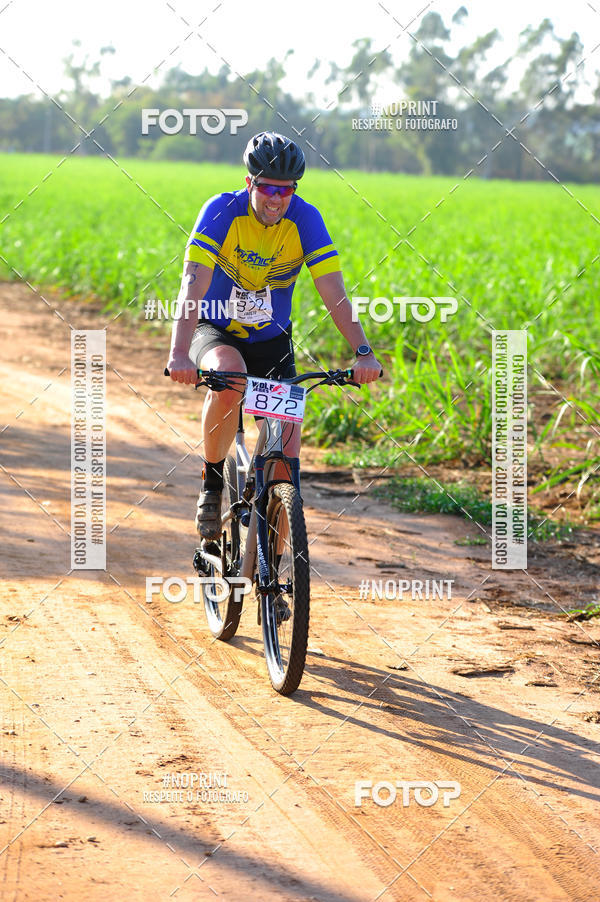 Buy your photos of the eventWolf Series - Botucatu on Fotop