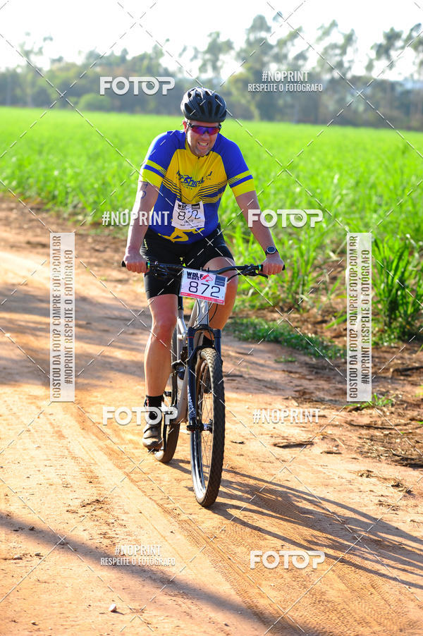 Buy your photos of the eventWolf Series - Botucatu on Fotop