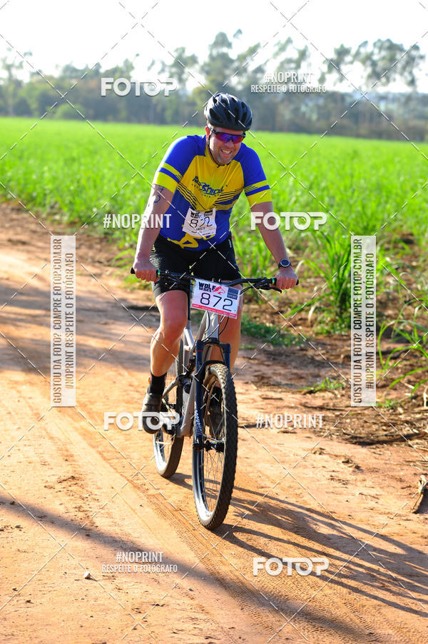 Buy your photos of the eventWolf Series - Botucatu on Fotop