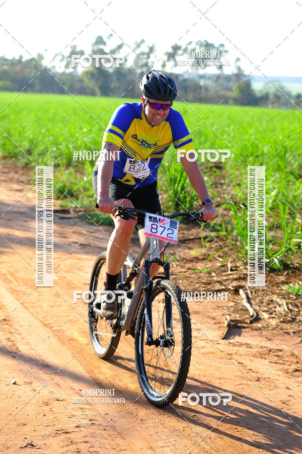 Buy your photos of the eventWolf Series - Botucatu on Fotop