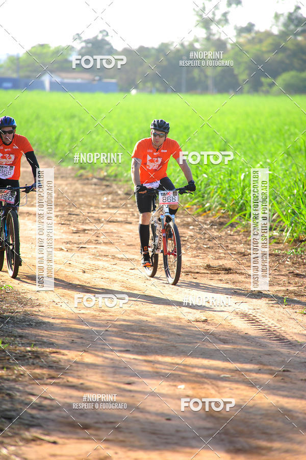 Buy your photos of the eventWolf Series - Botucatu on Fotop