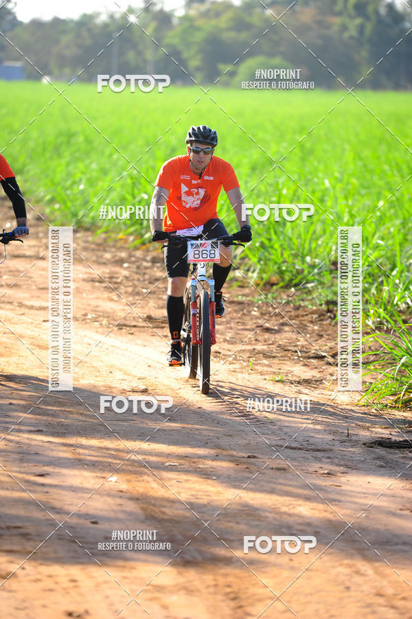 Buy your photos of the eventWolf Series - Botucatu on Fotop