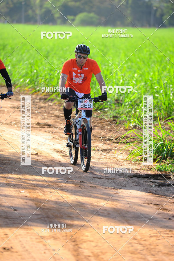 Buy your photos of the eventWolf Series - Botucatu on Fotop