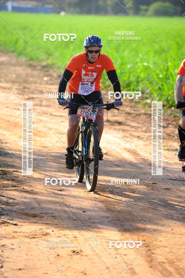 Buy your photos of the eventWolf Series - Botucatu on Fotop