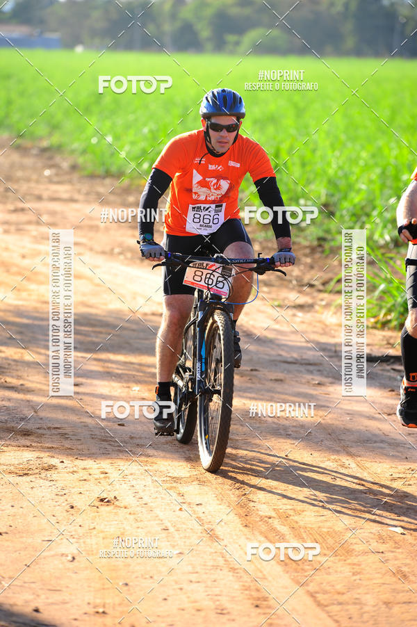 Buy your photos of the eventWolf Series - Botucatu on Fotop