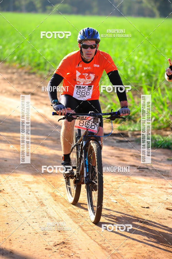 Buy your photos of the eventWolf Series - Botucatu on Fotop