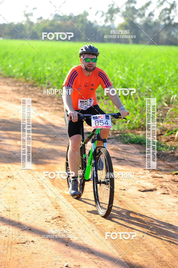 Buy your photos of the eventWolf Series - Botucatu on Fotop