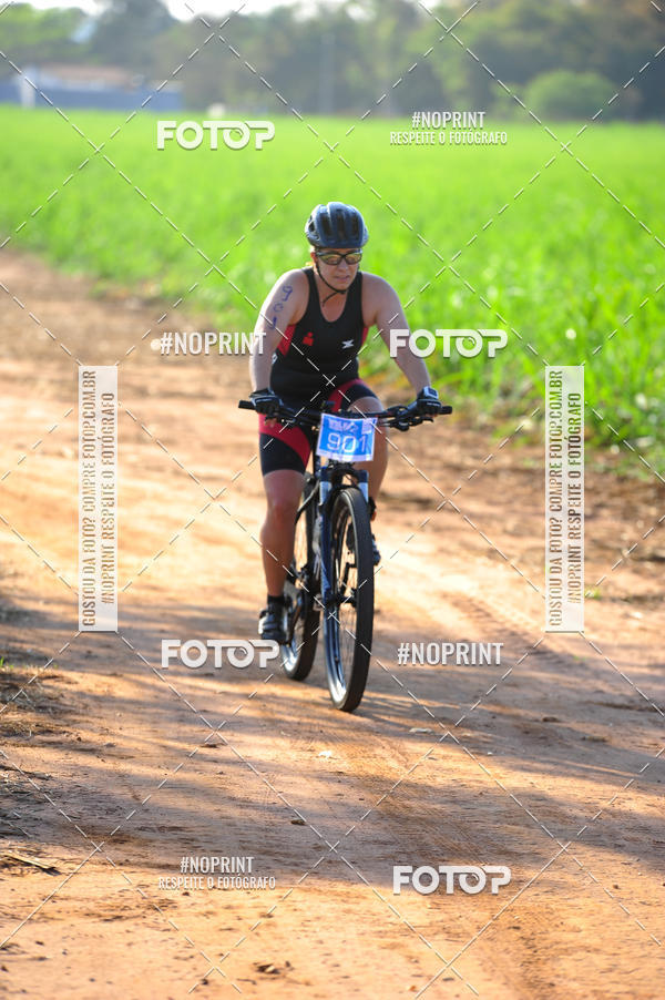 Buy your photos of the eventWolf Series - Botucatu on Fotop