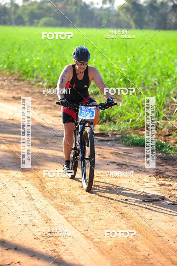Buy your photos of the eventWolf Series - Botucatu on Fotop