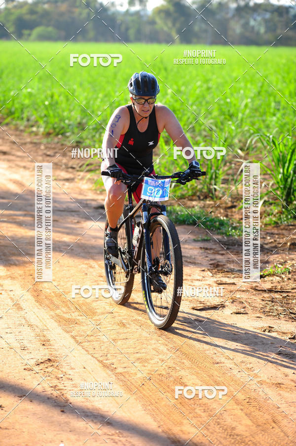 Buy your photos of the eventWolf Series - Botucatu on Fotop