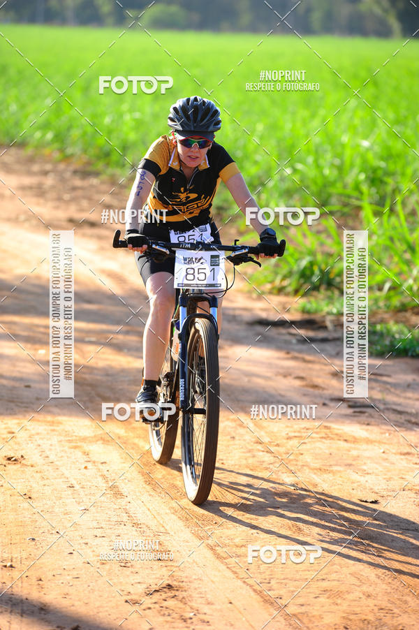 Buy your photos of the eventWolf Series - Botucatu on Fotop