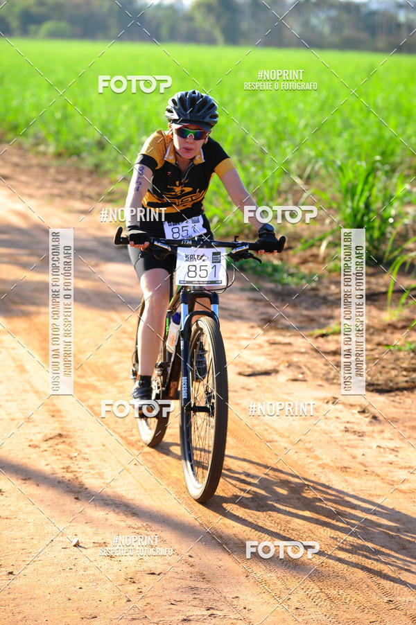 Buy your photos of the eventWolf Series - Botucatu on Fotop