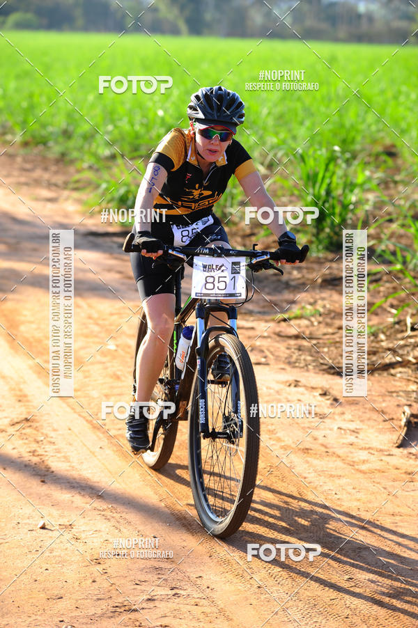 Buy your photos of the eventWolf Series - Botucatu on Fotop
