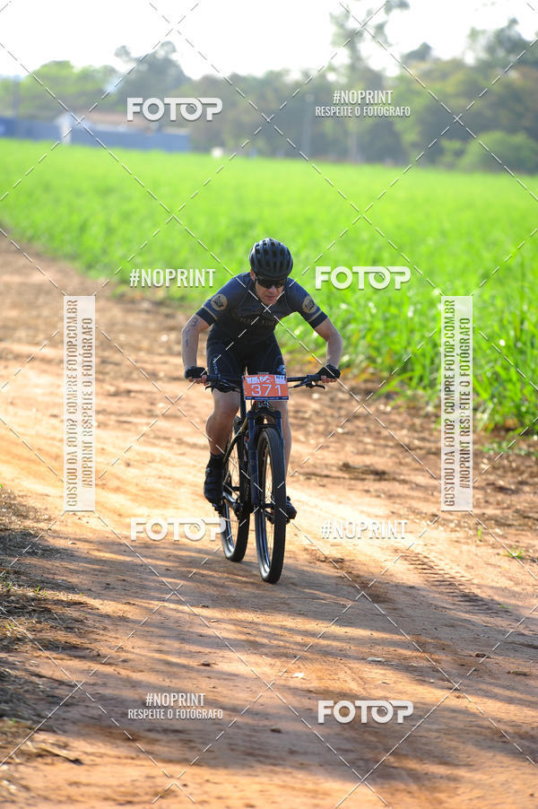 Buy your photos of the eventWolf Series - Botucatu on Fotop