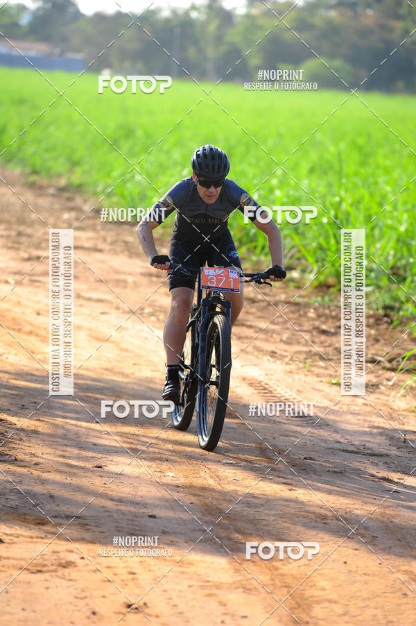 Buy your photos of the eventWolf Series - Botucatu on Fotop