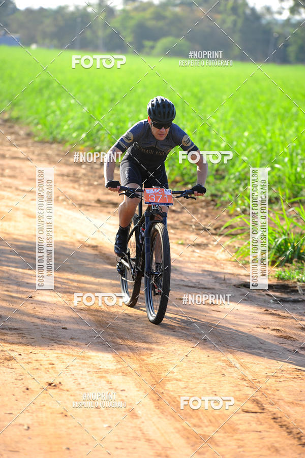 Buy your photos of the eventWolf Series - Botucatu on Fotop