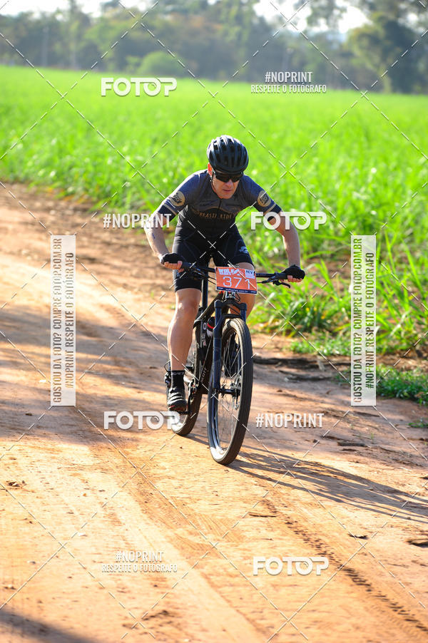 Buy your photos of the eventWolf Series - Botucatu on Fotop