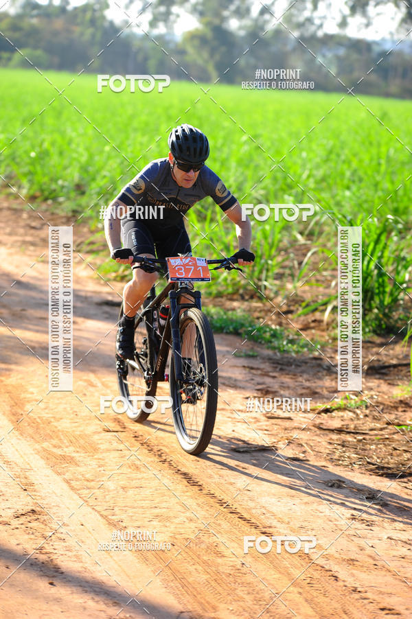 Buy your photos of the eventWolf Series - Botucatu on Fotop