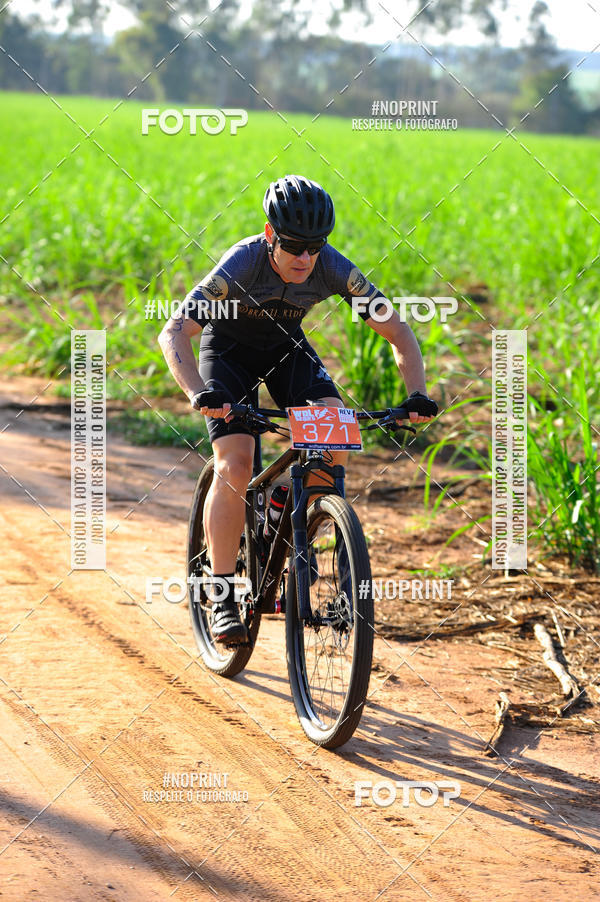 Buy your photos of the eventWolf Series - Botucatu on Fotop