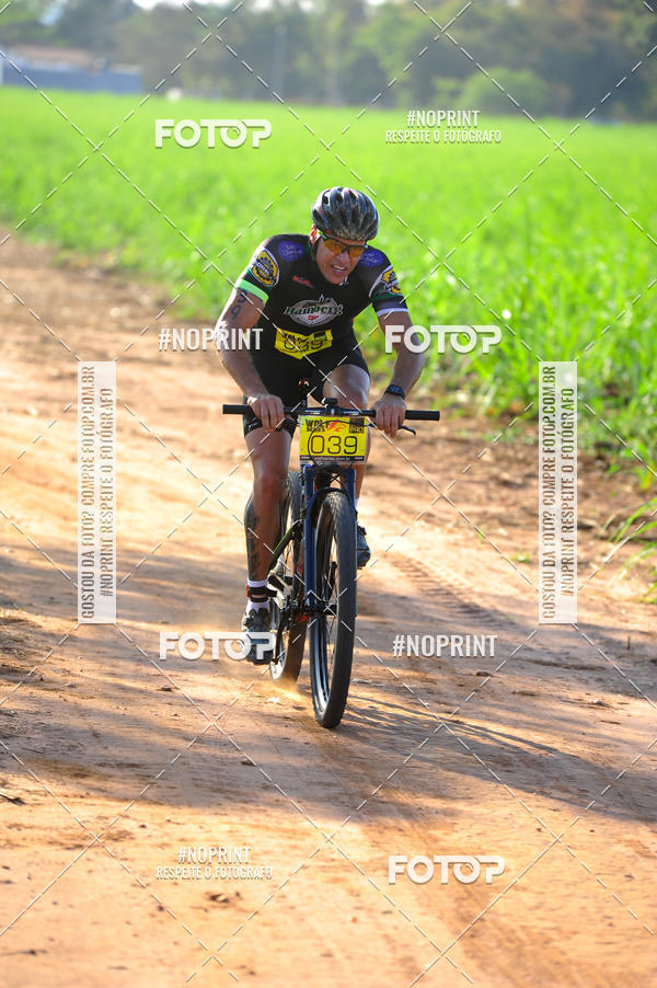 Buy your photos of the eventWolf Series - Botucatu on Fotop