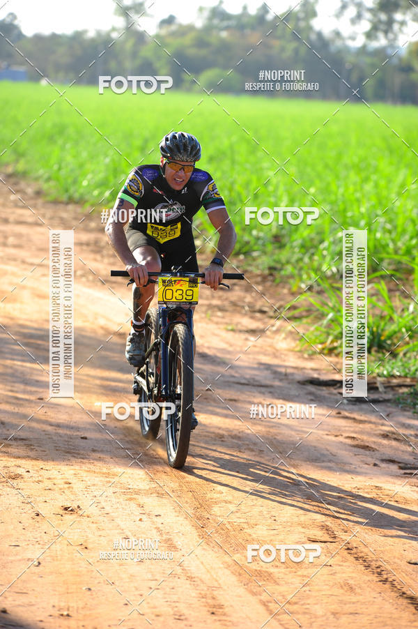 Buy your photos of the eventWolf Series - Botucatu on Fotop