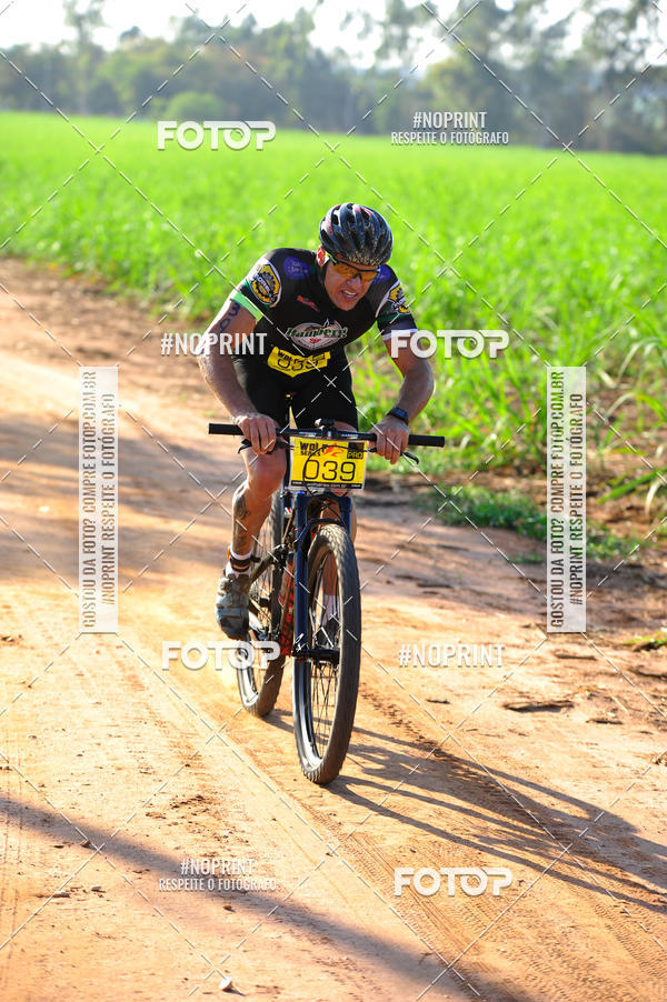 Buy your photos of the eventWolf Series - Botucatu on Fotop