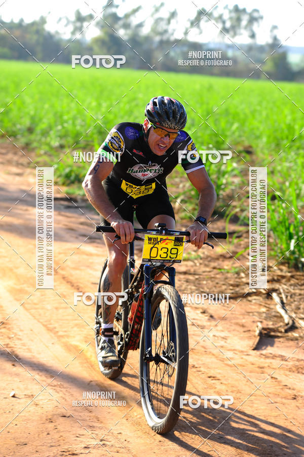 Buy your photos of the eventWolf Series - Botucatu on Fotop