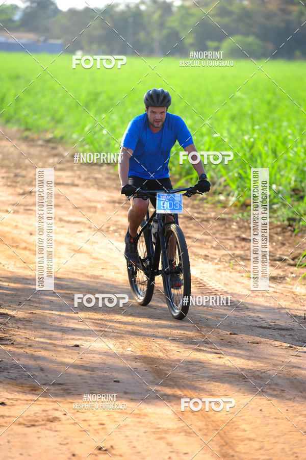 Buy your photos of the eventWolf Series - Botucatu on Fotop