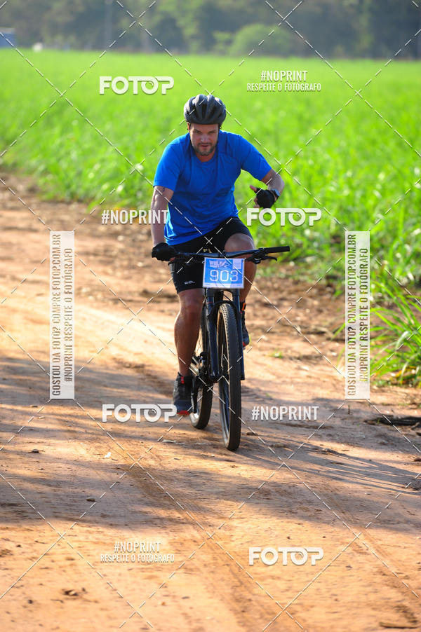 Buy your photos of the eventWolf Series - Botucatu on Fotop