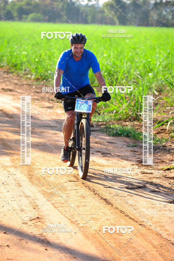 Buy your photos of the eventWolf Series - Botucatu on Fotop