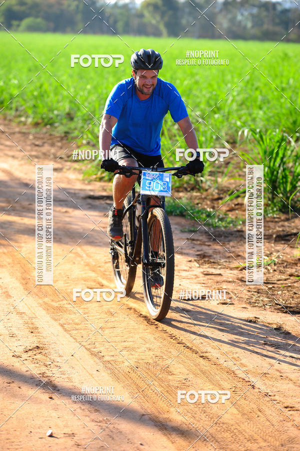 Buy your photos of the eventWolf Series - Botucatu on Fotop