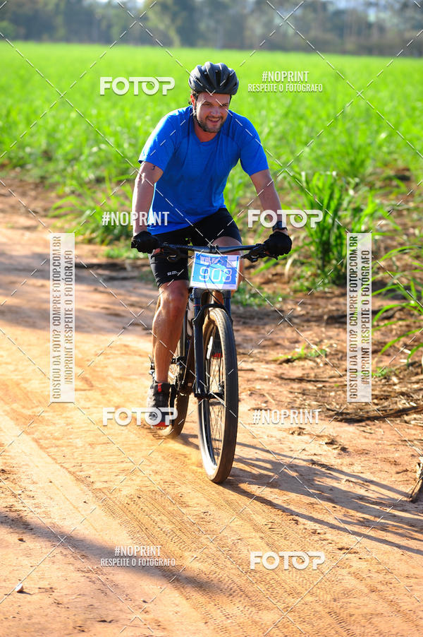 Buy your photos of the eventWolf Series - Botucatu on Fotop