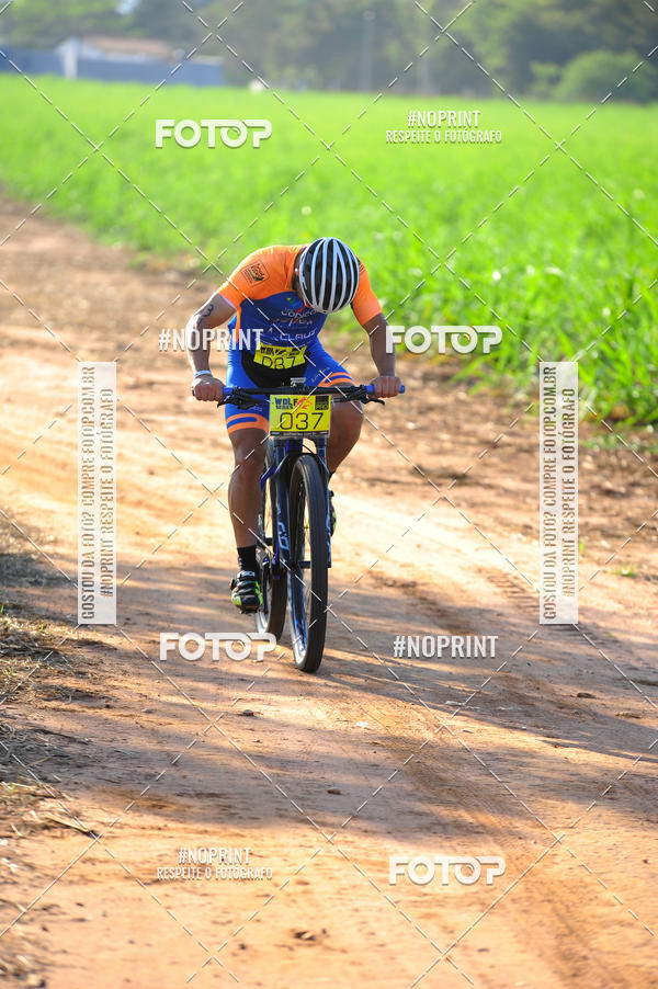 Buy your photos of the eventWolf Series - Botucatu on Fotop