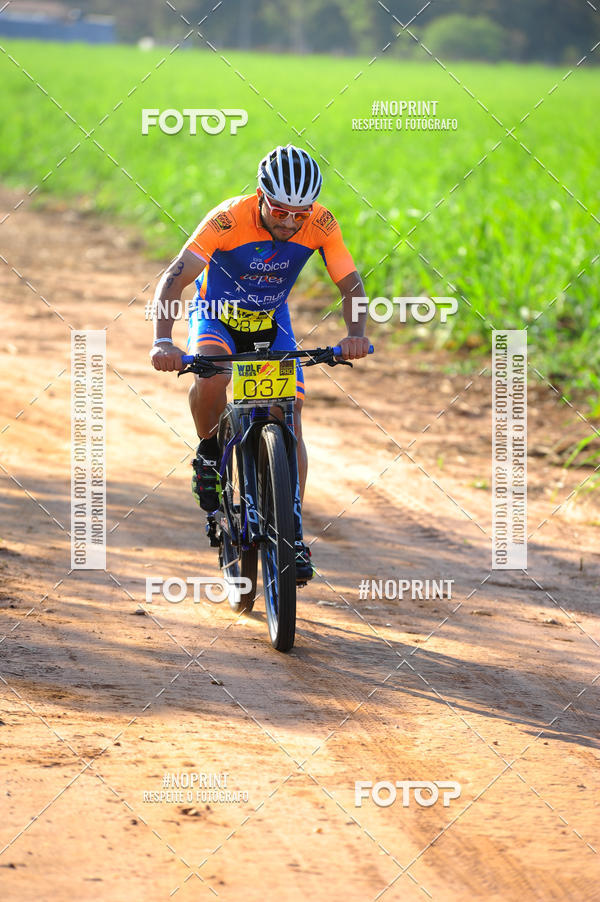 Buy your photos of the eventWolf Series - Botucatu on Fotop