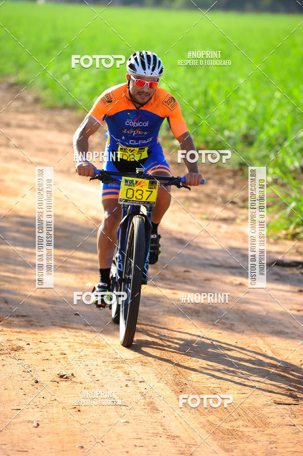 Buy your photos of the eventWolf Series - Botucatu on Fotop