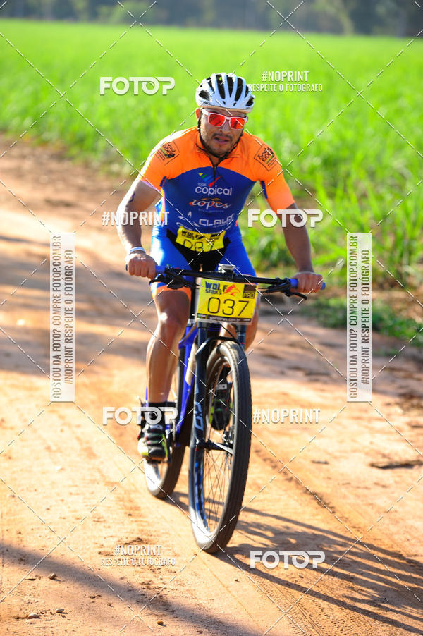Buy your photos of the eventWolf Series - Botucatu on Fotop