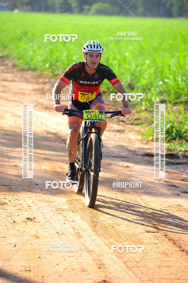 Buy your photos of the eventWolf Series - Botucatu on Fotop