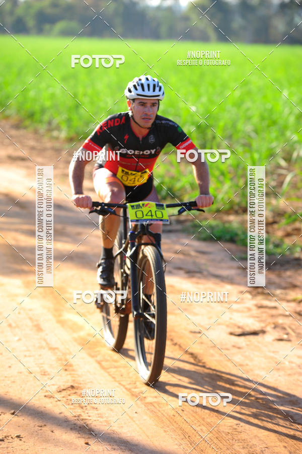 Buy your photos of the eventWolf Series - Botucatu on Fotop