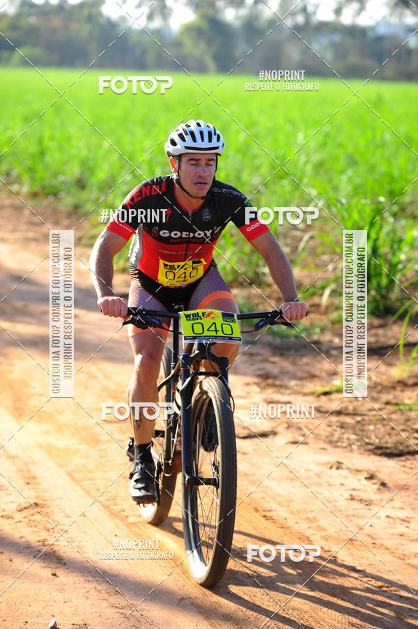 Buy your photos of the eventWolf Series - Botucatu on Fotop