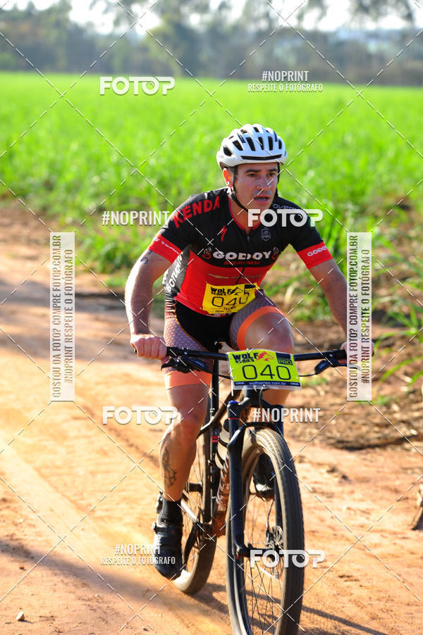 Buy your photos of the eventWolf Series - Botucatu on Fotop