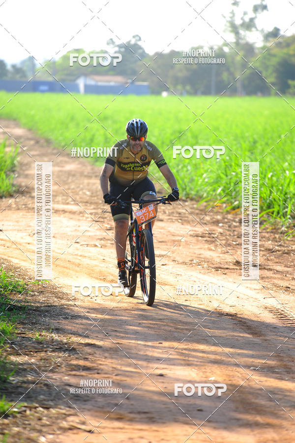 Buy your photos of the eventWolf Series - Botucatu on Fotop