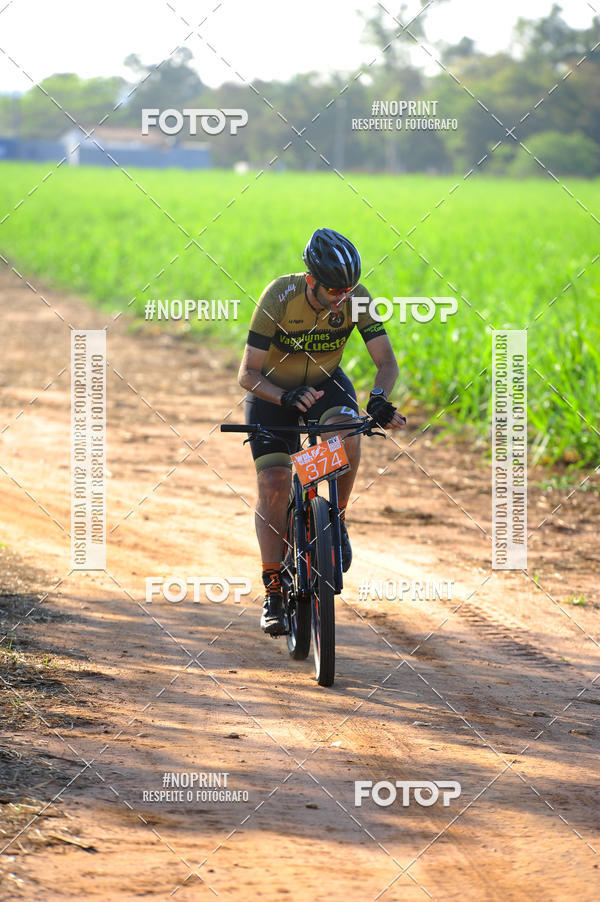 Buy your photos of the eventWolf Series - Botucatu on Fotop