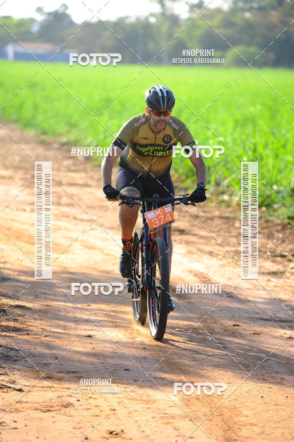 Buy your photos of the eventWolf Series - Botucatu on Fotop