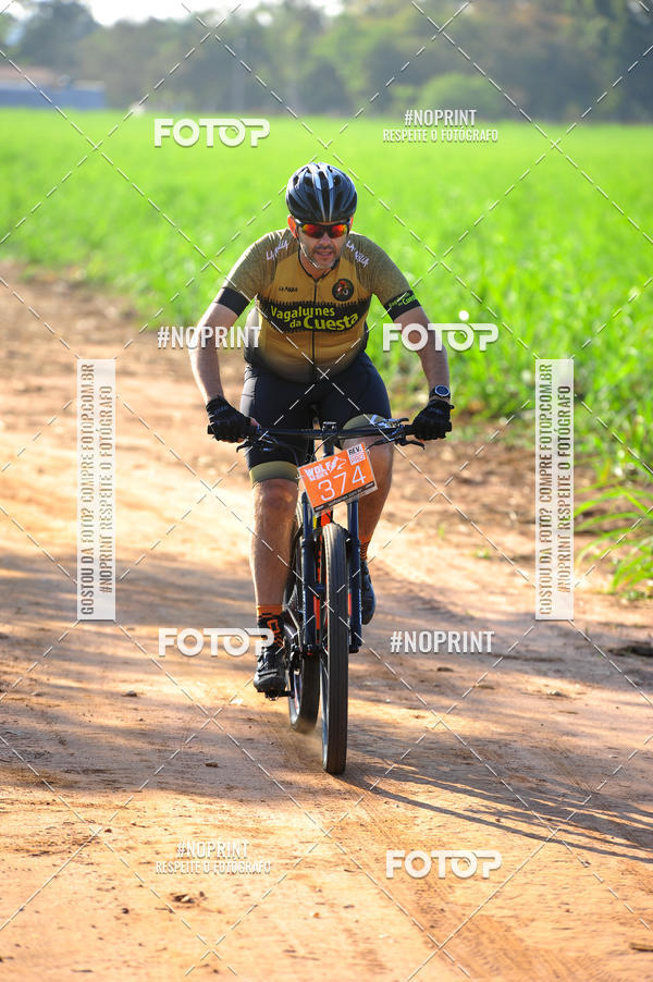 Buy your photos of the eventWolf Series - Botucatu on Fotop