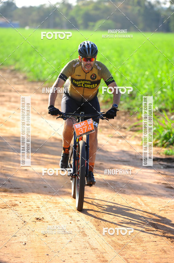 Buy your photos of the eventWolf Series - Botucatu on Fotop