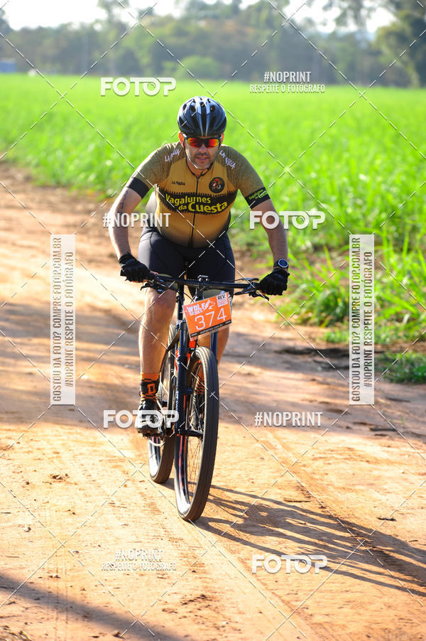Buy your photos of the eventWolf Series - Botucatu on Fotop
