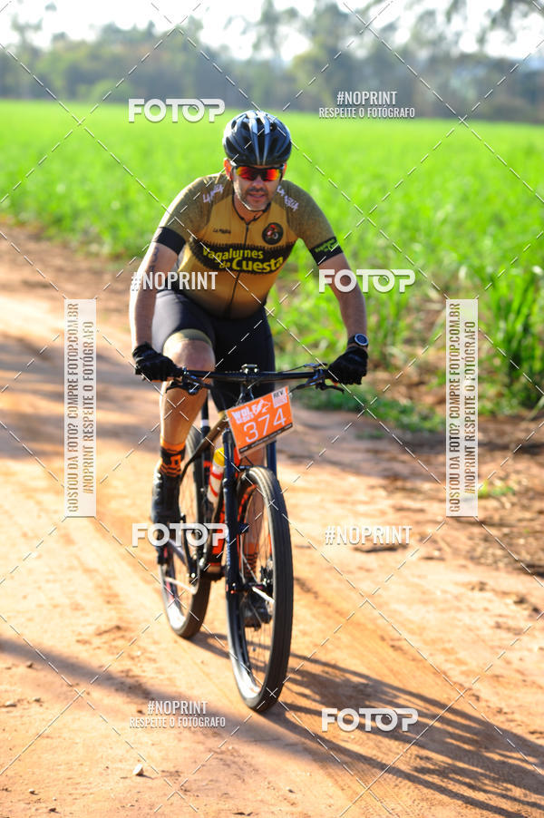 Buy your photos of the eventWolf Series - Botucatu on Fotop