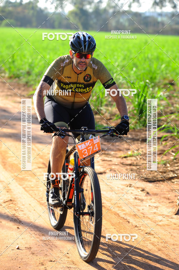 Buy your photos of the eventWolf Series - Botucatu on Fotop