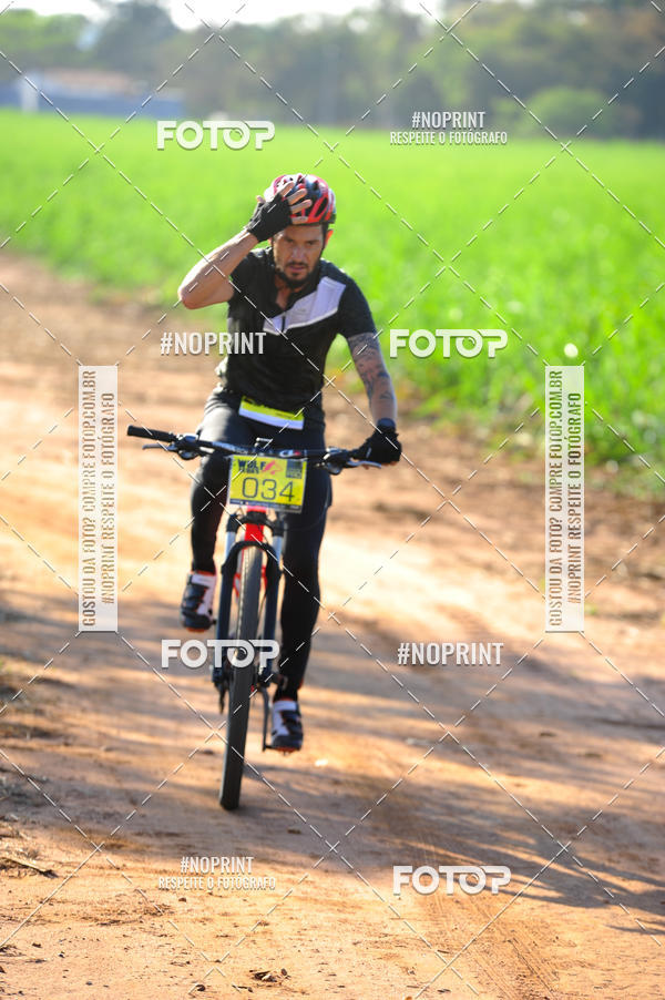 Buy your photos of the eventWolf Series - Botucatu on Fotop