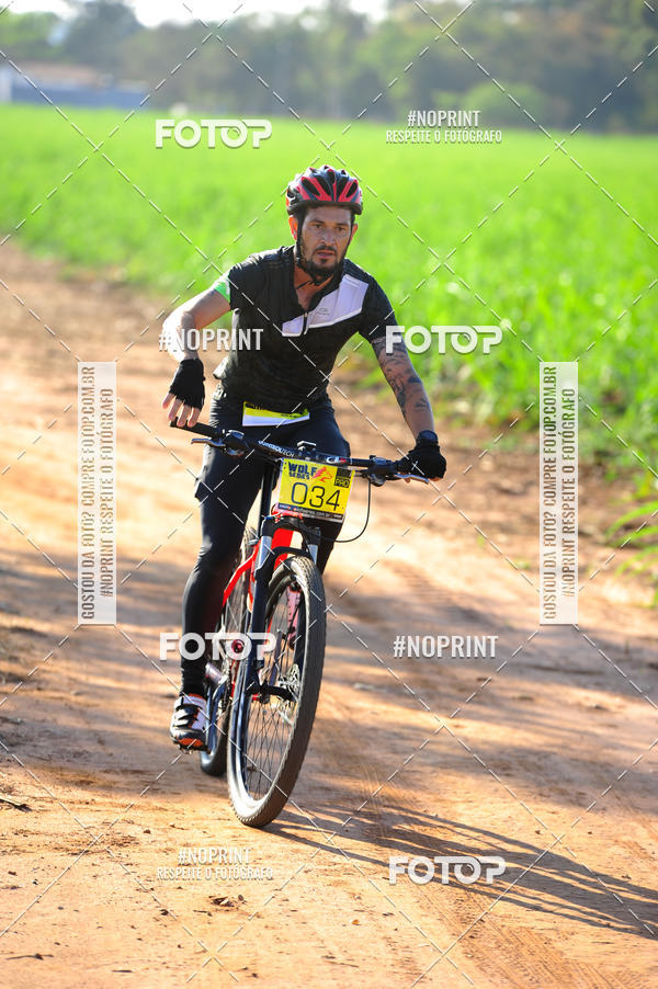 Buy your photos of the eventWolf Series - Botucatu on Fotop